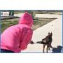 KnK Dog Supplies Big Dog Harness Padded Strong Sturdy Weight Pulling Harness Vest Large Dogs Training Quick Walking Keep Your Dog Amused and in Great Shape by draining accumulated Energy!