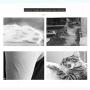 ZWHY Cat Scratcher Lounge Cardboard Cat Scratcher for Indoor Cats Round Cat Scratching House for Medium and Small Cats