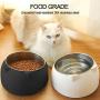 Sorlakar Stainless Steel Cat Bowls,15°Tilted Cat Dog Bowl Removable Water Food Feeder Bowl,Non-Skid & Non-Spill for Small Medium Large Cats Dogs