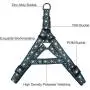 Tyhocent Durable Anti-Breakaway Dog Harness and 4.7FT Leash Set Soft Nylon Adjustable Dog Harness for Small Medium Large Puppy, Perfect for Dog Daily Training Walking Running