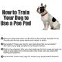 laamei Small Dog Pee Pads 2 Pack, Absorbent Reusable Training Pee Pads for Dogs, Whelping Pads Washable and Waterproof, Non-Slip Dog Pee Mat for Cats