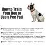laamei Small Dog Pee Pads 2 Pack, Absorbent Reusable Training Pee Pads for Dogs, Whelping Pads Washable and Waterproof, Non-Slip Dog Pee Mat for Cats