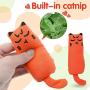 11 Pieces Cat Catnip Toys Cartoon Square Catnip Cat Chew Toys Interactive Cute Cat Entertaining Toys for Pet Kitten Cat Playing Chewing Grinding Claw and Teeth Cleaning, Assorted Styles