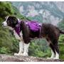 Chais Choice Rover Scout High Performance Tactical Training Military Backpack - Service Dog Harness with Dupont Cordura Waterproof Fabric. Medium to Large Dogs.Please Use Sizing Chart at Left