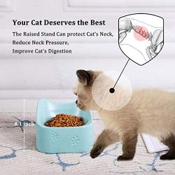 Jemirry Raised Cat Bowls Ceramic Cat Dish Bulldog Food Bowl for Cat Small Pup Dog Pet, Anti-Vomit cat Bowl