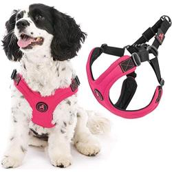 Gooby Dog Harness - Escape Free Sport Patented Step-in Neoprene Small Dog Harness - Perfect on The Go Four-Point Adjustable Harness for Small Dogs or Cat Harness