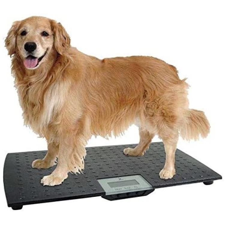 WC Redmon Precision Digital Pet Scales Professional Dog Groomer Vet Shelter  - Choose Size(Small - Up to