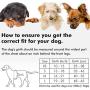 metric usa / Comfort Fit Pets Step in No Pull Small and Medium Dog Harness Vest Easy to Put on & Take Off Soft Padded Interior & Exterior Puppy Harness Ensures Your Dog is Snug & Comfortable - Fit Cats