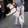 Total Pet Health Lift & Go Leads for Dogs Vet Approved Travel Dog Lead Harness (XLarge)