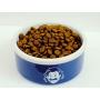 Einstein Designer Pet Dog Cat Ceramic Porcelain Feeding Bowl Food Water Feeder Blue White