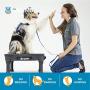 Blue-9 Pet Products KLIMB Training Kit, Professionally Designed Dog Training Platform and Accessories