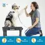 Blue-9 Pet Products KLIMB Training Kit, Professionally Designed Dog Training Platform and Accessories Blue-9 Pet Products KLIMB Training Kit, Professionally Designed Dog Training Platform and Accessories