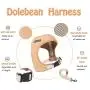 Dolebean 2021 Newest No Pull Dog cat Harness Vest for Small Medium Large Dogs in Training Harnesses Dolebean 2021 Newest No Pull Dog cat Harness Vest for Small Medium Large Dogs in Training Harnesses