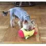 Modern Wave - Squeaky Plush Dog Toy - Interactive Hide and Seek Squirrel Type Puzzle Toy for Dogs, Small Size (Spaceship and Aliens) Modern Wave - Squeaky Plush Dog Toy - Interactive Hide and Seek Squirrel Type Puzzle Toy for Dogs, Small Size (Spaceship and Aliens)