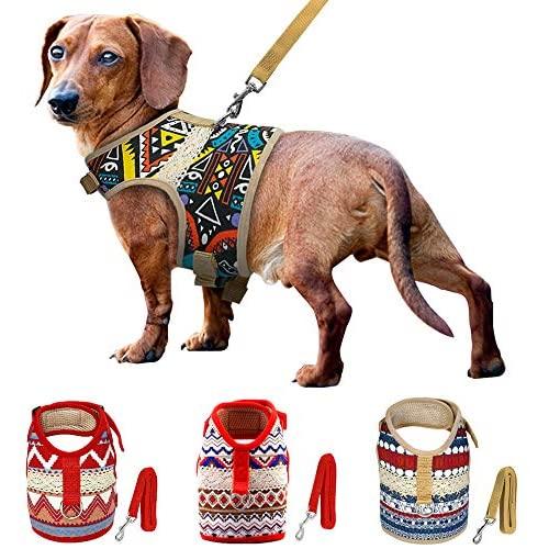 Muttitude Dog Harness & Leash Set for Small Breeds