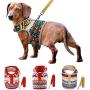 Muttitude Dog Harness & Leash Set for Small Breeds