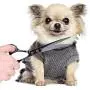 Dog Grooming Scissors Set- Stainless Steel Pet Grooming Kit 7 Inch Thinning Straight Curved Shears with Grooming Comb Perfect for Pet Groomer or Family DIY Use for dog cat and more pets Dog Grooming Scissors Set- Stainless Steel Pet Grooming Kit 7 Inch Thinning Straight Curved Shears with Grooming Comb Perfect for Pet Groomer or Family DIY Use for dog cat and more pets