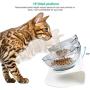 Elevated Cat Bowls with Raised Stand, 15° Tilted Cat Food & Water Bowl Set, Pet Feeding Bowls for Cats and Small Dogs