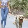 HOMMP 1000 Counts Compostable Biodegradable Poop Bags-Dog Waste Bags, 50 Rolls, Unscented + 2 Dispensers HOMMP 1000 Counts Compostable Biodegradable Poop Bags-Dog Waste Bags, 50 Rolls, Unscented + 2 Dispensers