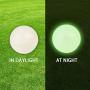 SKIPDAWG Squeaky Glow Dog Ball, Light up Dog Ball Glow in The Dark, Interactive Toys for Dogs Indoor/Outdoor Exercise, Durable TPR Fetch Ball Dog Toys