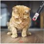 Green Red Purple for Kitten, 3 PCS Cat Toy for Kitten & Dogs for Catch Exercise Interactive Kitten Toys for Indoor Outdoor Training Tool Pet Toy Easy to Carry Tease Cat Sticks Teaching Speech Camping