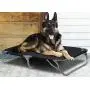 GigaTent Elevated Pet Cot with Steel Frame - Foldable Raised Comfortable Lightweight Durable Disassemble Play and Rest Portable Pet Bed for Dogs and Cats GigaTent Elevated Pet Cot with Steel Frame - Foldable Raised Comfortable Lightweight Durable Disassemble Play and Rest Portable Pet Bed for Dogs and Cats