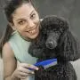 BEATURE 4 Pieces Pet Supplies Combs, Dog Accessories, Grooming Combs for Cats Dogs, Tear Stain Remover Comb Set, Fine Tooth Stainless Steel Hair Combs Remove Float Hair and Dandruff (Blue) BEATURE 4 Pieces Pet Supplies Combs, Dog Accessories, Grooming Combs for Cats Dogs, Tear Stain Remover Comb Set, Fine Tooth Stainless Steel Hair Combs Remove Float Hair and Dandruff (Blue)