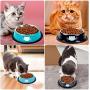 Legendog 3Pcs Cat Bowls, Cute Cat Food Bowls, Stainless Steel Cat Bowl, Cat Bowls for Food and Water, Cat Food Dish with Food Scoops…