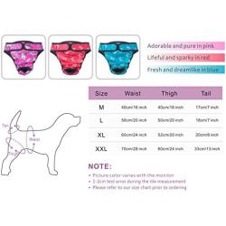 PETBABA Female Dog Diapers, 3 Pcs Period Pants, Reusable Washable Cover Up Panties, Adjustable Nappies Suitable Medium to Large Women Girl in Heat Season in XXL