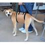 Travelin K9 Large Dog Lift Harness - Dog Support Harness - Dog Stair Lift - Dog Car Lift. For Disabled Dogs, Elderly Dogs, Injured Dogs, to support dogs back legs, and as a Dog Rehabilitation Harness