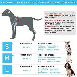 Tyhocent Durable Anti-Breakaway Dog Harness and 4.7FT Leash Set Soft Nylon Adjustable Dog Harness for Small Medium Large Puppy, Perfect for Dog Daily Training Walking Running