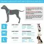 Tyhocent Durable Anti-Breakaway Dog Harness and 4.7FT Leash Set Soft Nylon Adjustable Dog Harness for Small Medium Large Puppy, Perfect for Dog Daily Training Walking Running