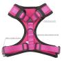 Adjustable and Comfortable Step-in Air Pet Harness for Small or Medium Dogs and Cat by Oleh-Oleh (S,Rose Red)