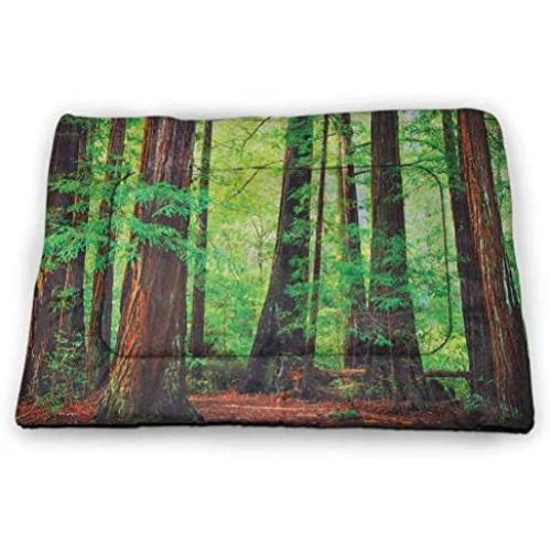 DayDayFun Woodland Cute Pattern Pet Mat Foggy Misty Purple Trees in A Winter Woodland Landscape Scenery Modern Super Soft Pet Cushion Purple Black Gray
