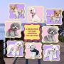 Pooch Outfitters Dog Harness Collection | Dog Walking with Style – Extensive Selection of Unique, Fashionable Harnesses That Suit Any Taste, Mood, Occasion