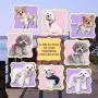 Pooch Outfitters Dog Harness Collection | Dog Walking with Style – Extensive Selection of Unique, Fashionable Harnesses That Suit Any Taste, Mood, Occasion Pooch Outfitters Dog Harness Collection | Dog Walking with Style – Extensive Selection of Unique, Fashionable Harnesses That Suit Any Taste, Mood, Occasion