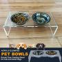 ZEXPRO Acrylic Elevated Pet Bowls - Raised Clear Feeding Stand for Cats and Small Dogs - 2 Stainless Steel Food Container No Splash, Spill, Messy Floors Feed Pedestal