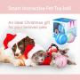 Mould King Wicked Ball, 100% Automatic and Interactive Ball to Keep Your Dogs/Cats Company All Day, Your Pets Joy When Home Alone -NOT for Dog CHEWERS (Orange)