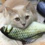 mulei Fish Cat Toy Catnip Kicker Chew Bite Treat Pillow Set Flopping Fish Shape Doll Pet Natural Non-Toxic for Cats Kittens