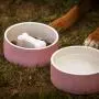 Magisso 90200 Water Bowl Natural Cooling Ceramic Keeps Water Cold, 20 cm Diameter, 1.8 litres, Pink Magisso 90200 Water Bowl Natural Cooling Ceramic Keeps Water Cold, 20 cm Diameter, 1.8 litres, Pink
