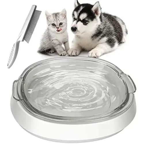 001 Glass Dog Cat Food Bowls, Water Bowl for Cats and Small Dogs, Transparent Glass Pet Bowl, Promotes Pet Hydration, Durable and Stable Design, Protect Pets Spine, Dishwasher Safe 001 Glass Dog Cat Food Bowls, Water Bowl for Cats and Small Dogs, Transparent Glass Pet Bowl, Promotes Pet Hydration, Durable and Stable Design, Protect Pets Spine, Dishwasher Safe