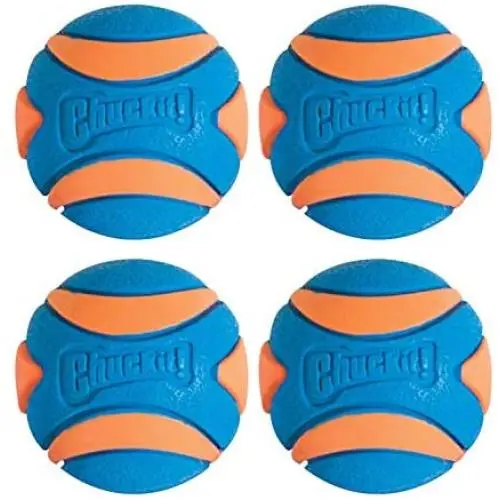 Chuckit! Ultra Squeaker Ball - 4 Pack Chuckit! Ultra Squeaker Ball - 4 Pack