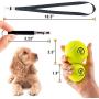 Dog Whistle Ultrasonic Adjustable Frequency - Silent Dogs Puppy Training Tool Whistle Pack with Lanyard Black and 2 Tennis Playing Balls Toy Small Medium Sizes for Stop Barking Control Pet Trainer