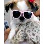 Style Vault G014 Dog Cat Pet 80s Sunglasses Goggles for Small Breeds up to 15lbs