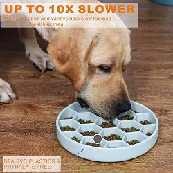 homxhandy Slow Feeder Dog Bowl, Non-Slip Silicone Puzzle Bowl, Anti-Gulping Pet Slow Feeder Dishes, Interactive Bloat Stop Dog Bowls, Anti Choking Dog Slow Feeder Bowl