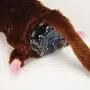Zanies Barnyard Unstuffies Mouse Pet Toy Zanies Barnyard Unstuffies Mouse Pet Toy