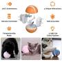 Interactive Dog/Cat Toys Ball, Remote Control Wicked Ball with RGB LED Flash Light, USB Rechargeable Pets Toy Ball for Boredom,1000mAh Battery,360 Degree Auto Rolling/Vibration/Rotating Pets Toy Ball