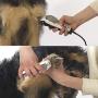 Wahl Pet-Pro Clipper & Trimmer Pet Grooming Combo Kit for Dogs and Cats: Comes with a corded Clipper and a battery operated Trimmer, by The Brand Used By Professionals. #9284,Chrome/White