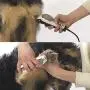 Wahl Pet-Pro Clipper & Trimmer Pet Grooming Combo Kit for Dogs and Cats: Comes with a corded Clipper and a battery operated Trimmer, by The Brand Used By Professionals. #9284,Chrome/White Wahl Pet-Pro Clipper & Trimmer Pet Grooming Combo Kit for Dogs and Cats: Comes with a corded Clipper and a battery operated Trimmer, by The Brand Used By Professionals. #9284,Chrome/White