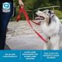 Blue-9 Pet Products Lead Multi-Function Dog Leash, Double Attachment 6 Foot Adjustable Leash for Dogs